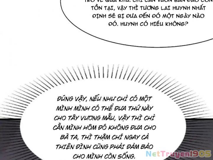 Trụ Vương Tái Sinh Không Muốn Làm Đại Phản Diện