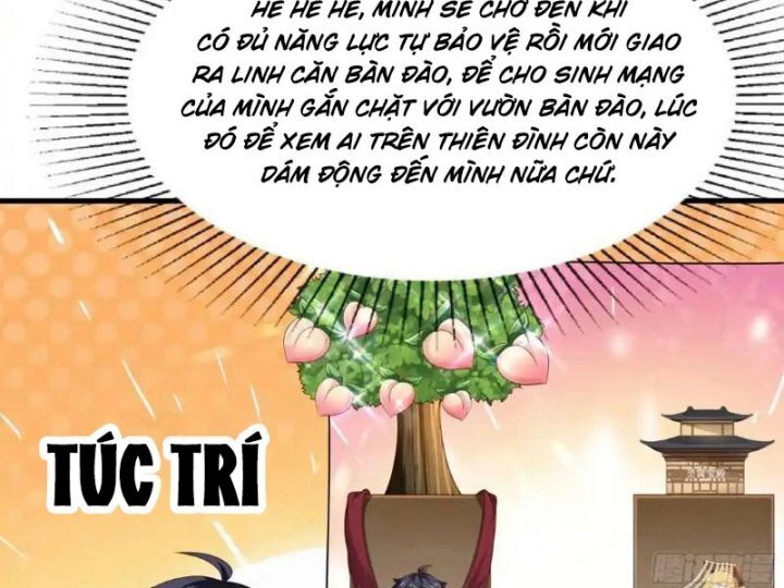 Trụ Vương Tái Sinh Không Muốn Làm Đại Phản Diện