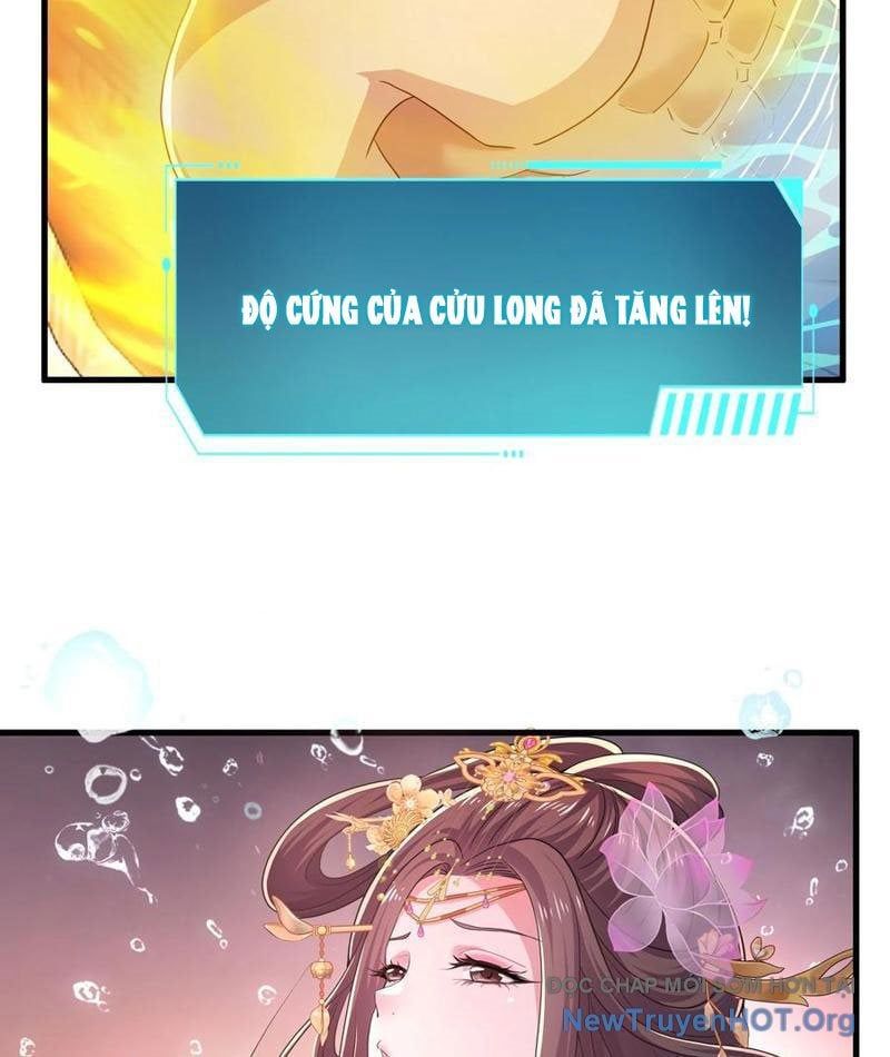 Trụ Vương Tái Sinh Không Muốn Làm Đại Phản Diện