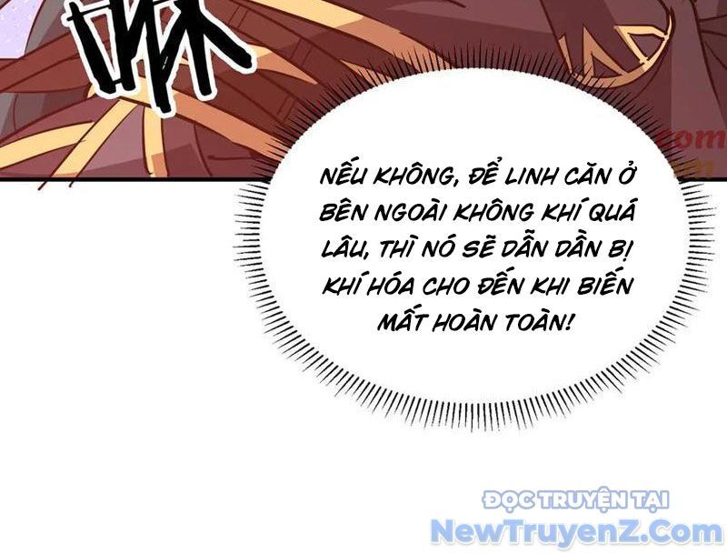 Ma Tu Tái Sinh: Khởi Đầu Nhặt Được Một Hành Tinh Zombie
