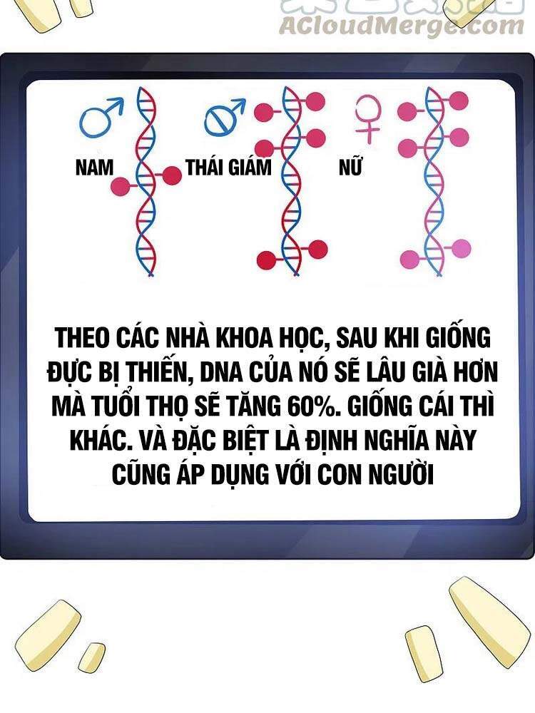 Vô Địch Học Bạ Hệ Thống