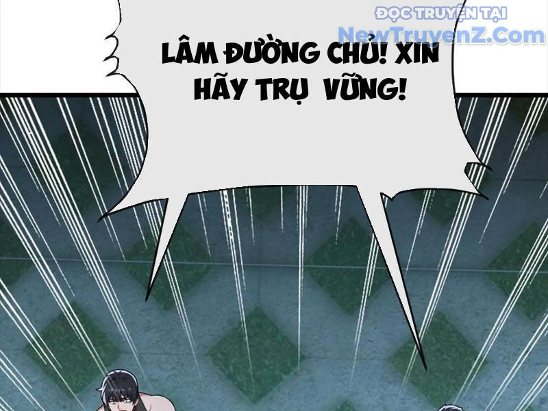 Đại Lão Xuống Núi: Bắt Đầu Từ Việc Trở Thành Thư Ký