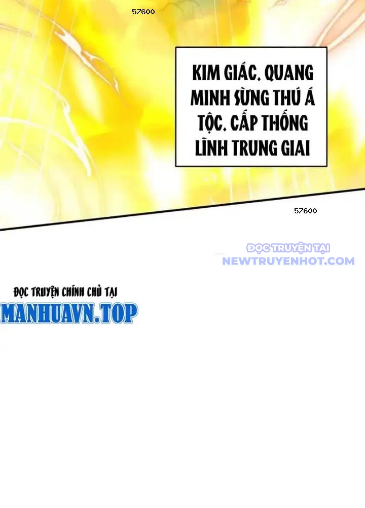 Tân Sủng Mị