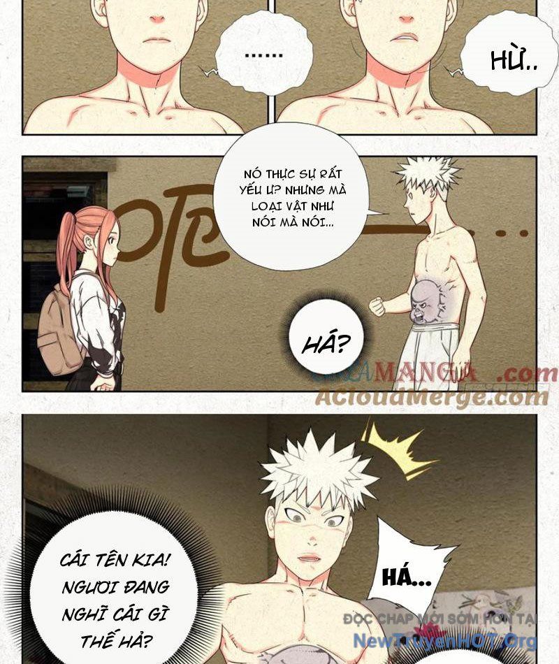 Tẩu Âm Nhân