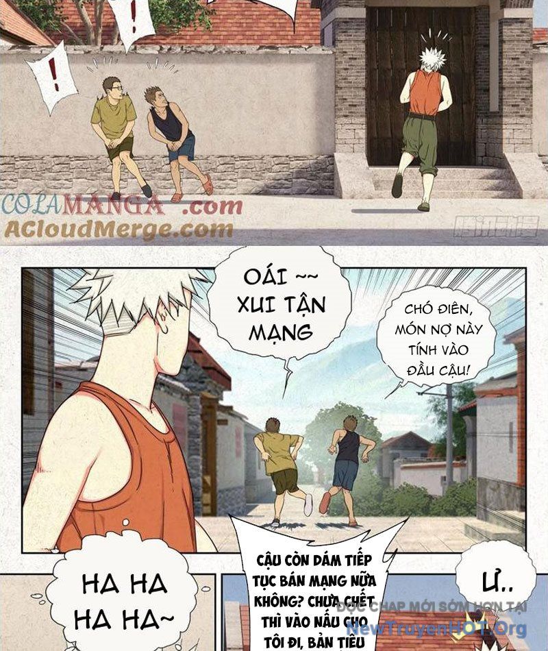 Tẩu Âm Nhân