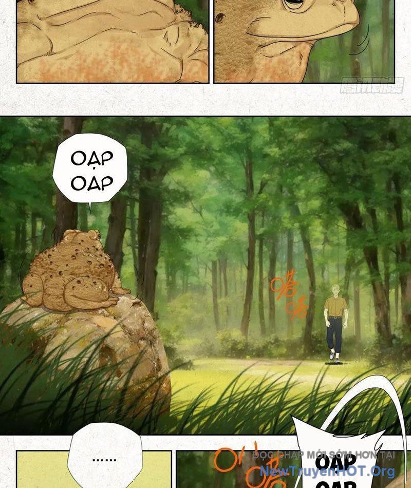 Tẩu Âm Nhân