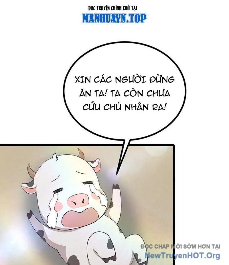 Tu Tiên Trở Về Tại Vườn Trường - Season 2
