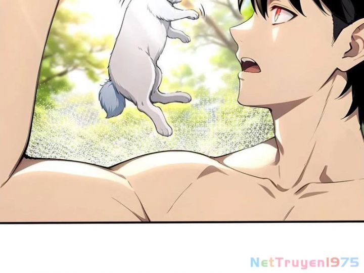 Đệ Nhất Ngự Thú Sư
