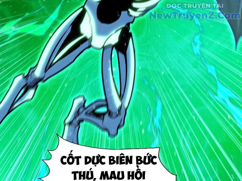 Đệ Nhất Ngự Thú Sư