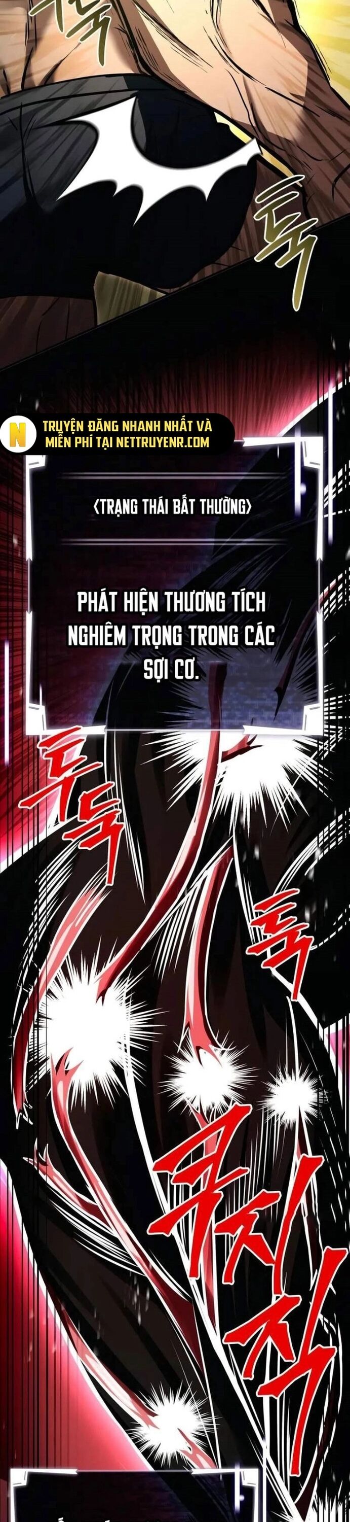 Kim Chiến Sĩ: Hành Trình Xây Dựng Đặc Tính