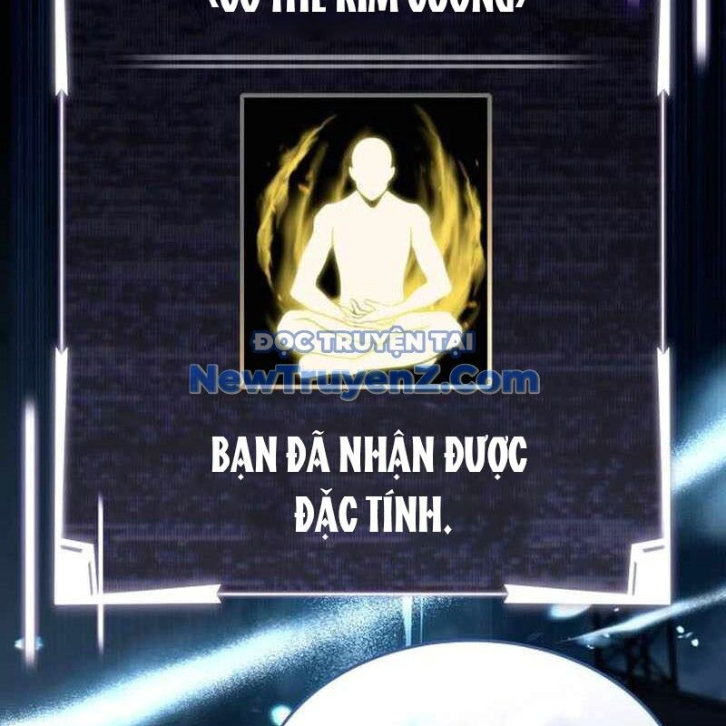 Kim Chiến Sĩ: Hành Trình Xây Dựng Đặc Tính