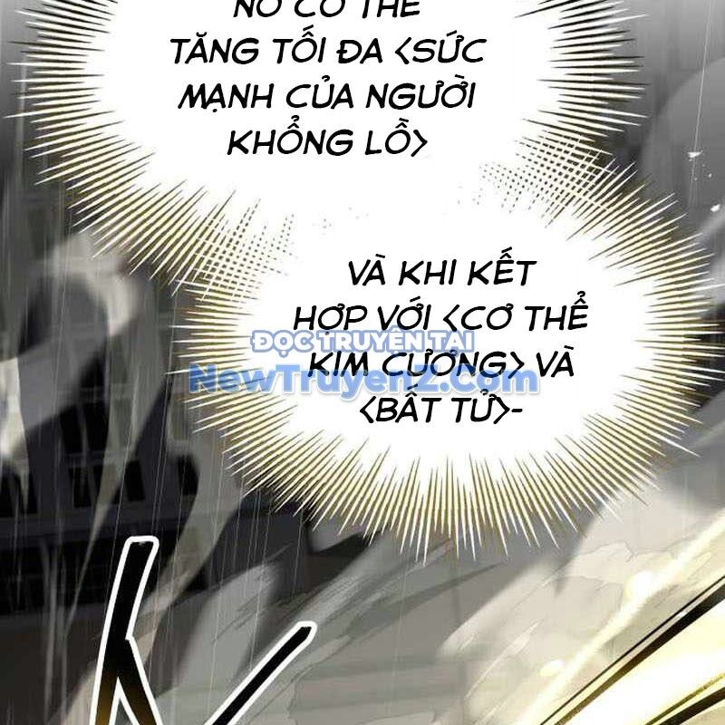 Kim Chiến Sĩ: Hành Trình Xây Dựng Đặc Tính