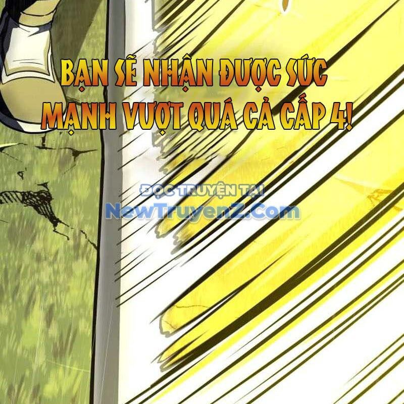 Kim Chiến Sĩ: Hành Trình Xây Dựng Đặc Tính