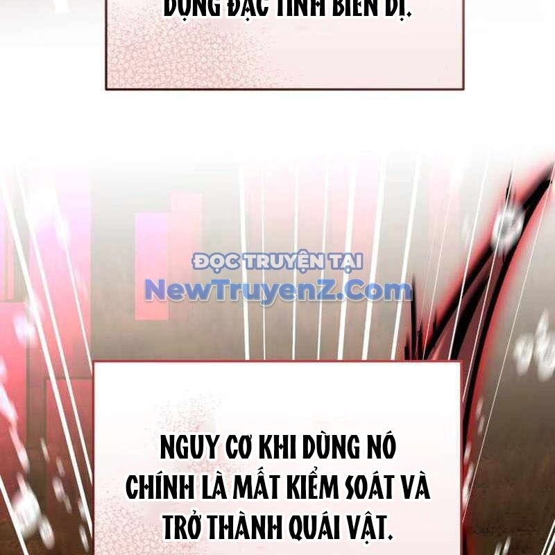 Kim Chiến Sĩ: Hành Trình Xây Dựng Đặc Tính