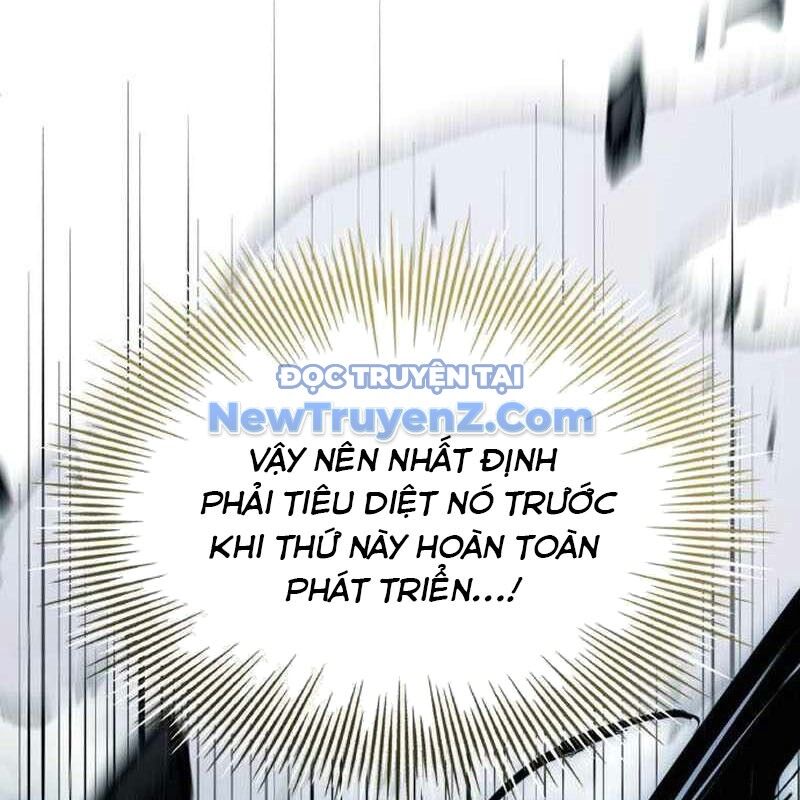 Kim Chiến Sĩ: Hành Trình Xây Dựng Đặc Tính