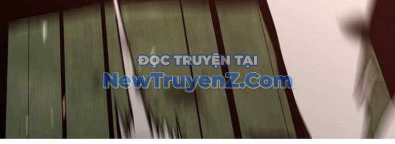 Kim Chiến Sĩ: Hành Trình Xây Dựng Đặc Tính