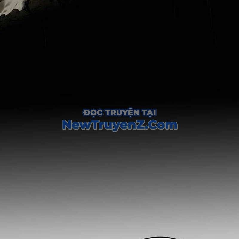 Kim Chiến Sĩ: Hành Trình Xây Dựng Đặc Tính