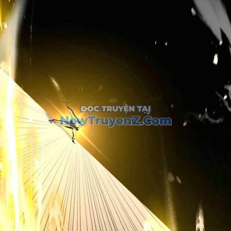Kim Chiến Sĩ: Hành Trình Xây Dựng Đặc Tính