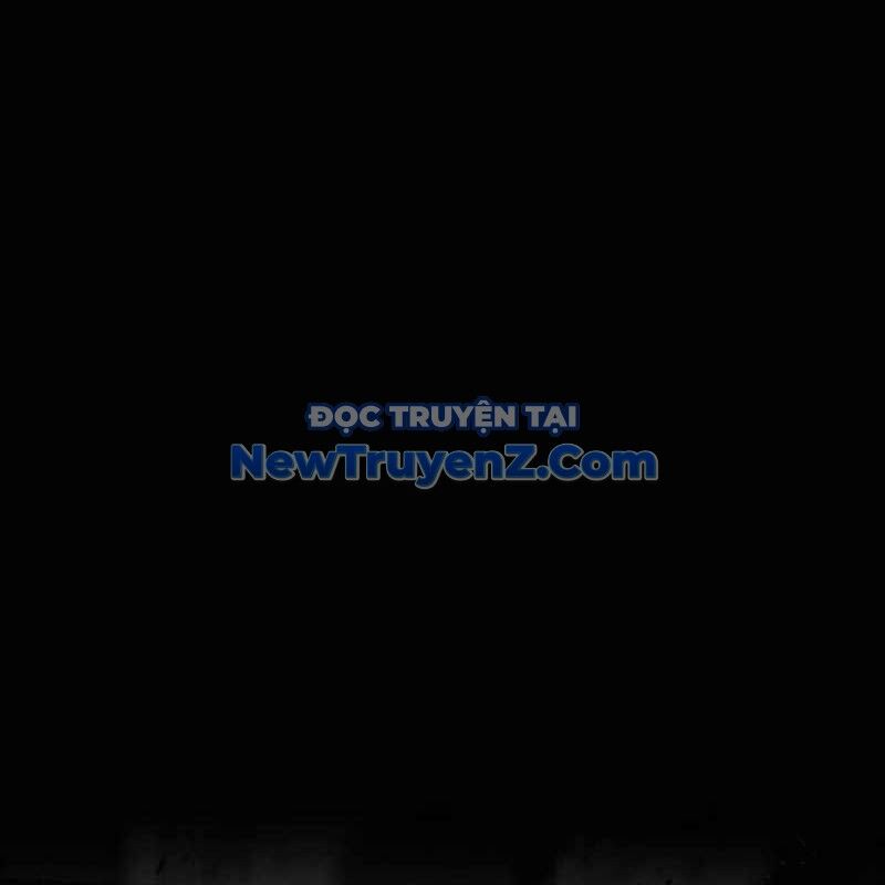 Kim Chiến Sĩ: Hành Trình Xây Dựng Đặc Tính