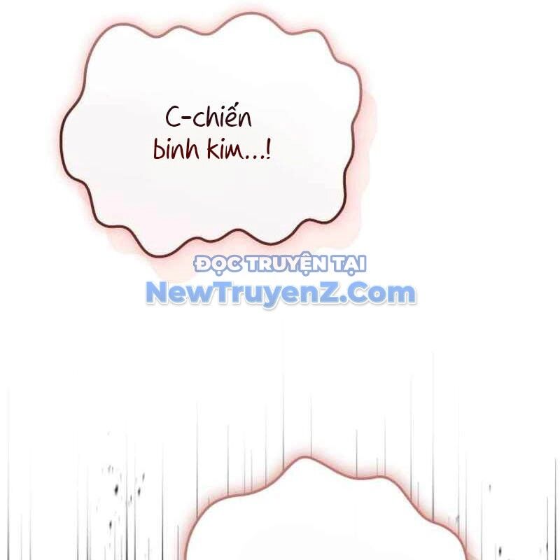 Kim Chiến Sĩ: Hành Trình Xây Dựng Đặc Tính