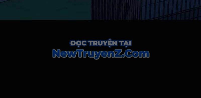 Kim Chiến Sĩ: Hành Trình Xây Dựng Đặc Tính