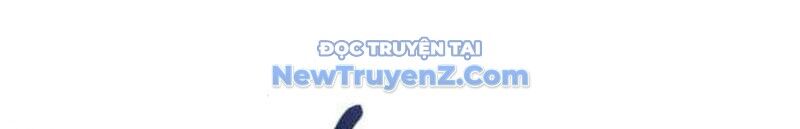 Kim Chiến Sĩ: Hành Trình Xây Dựng Đặc Tính