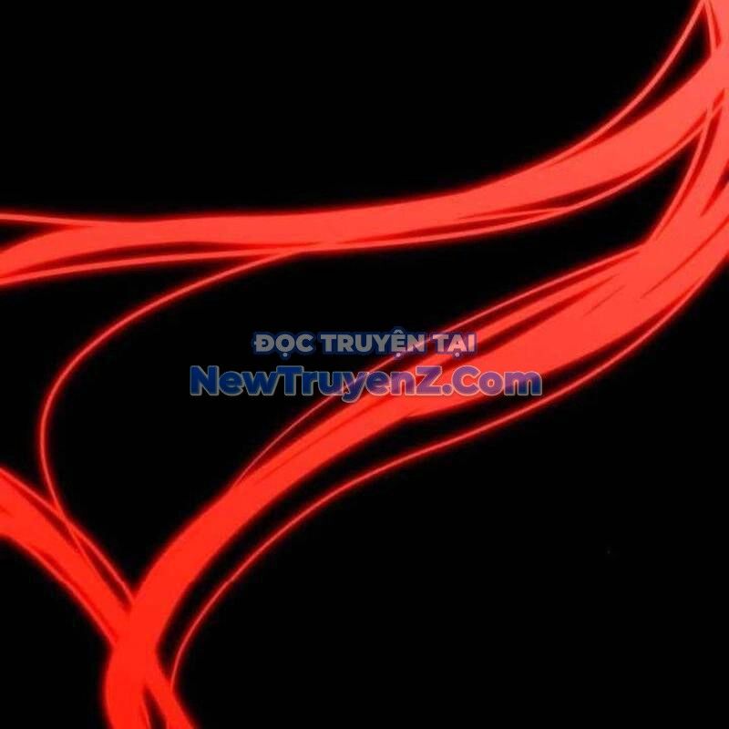 Kim Chiến Sĩ: Hành Trình Xây Dựng Đặc Tính