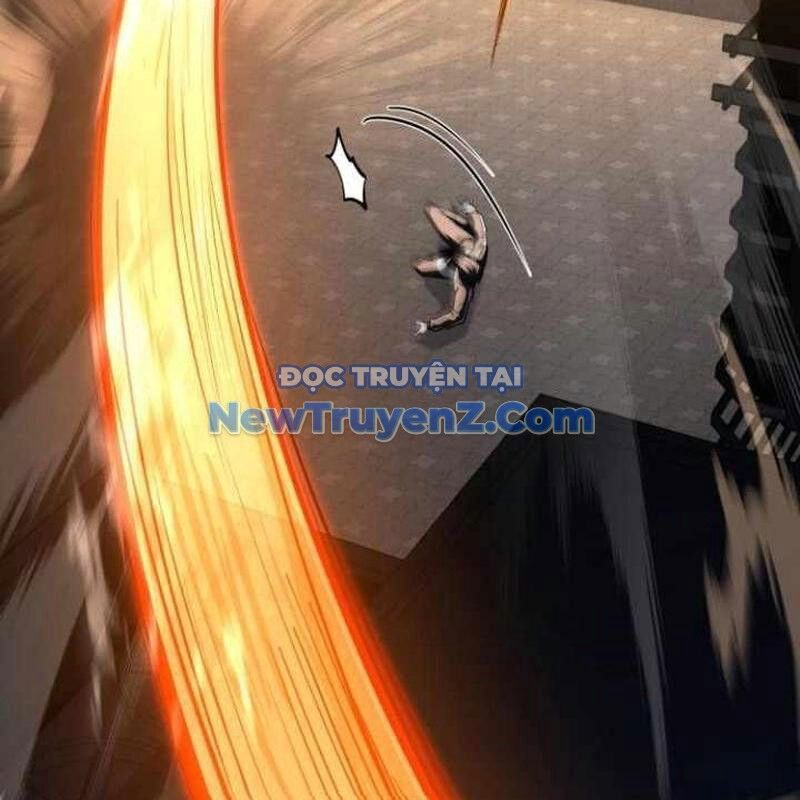 Kim Chiến Sĩ: Hành Trình Xây Dựng Đặc Tính
