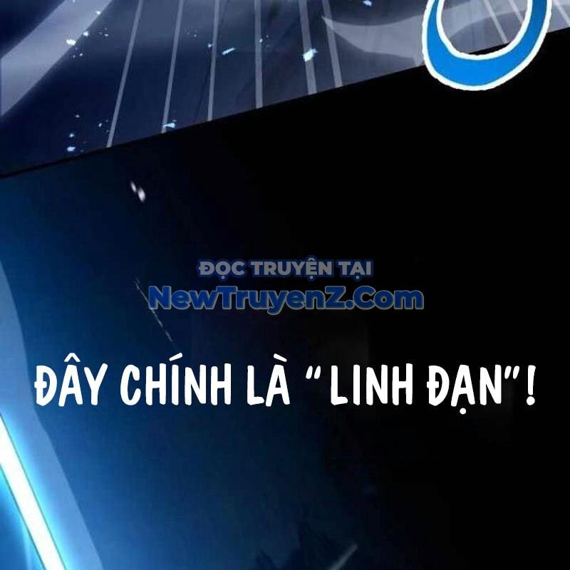 Kim Chiến Sĩ: Hành Trình Xây Dựng Đặc Tính