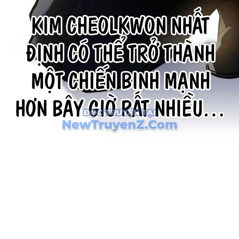 Kim Chiến Sĩ: Hành Trình Xây Dựng Đặc Tính