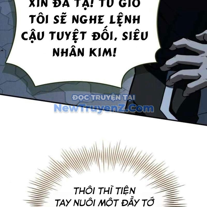Kim Chiến Sĩ: Hành Trình Xây Dựng Đặc Tính