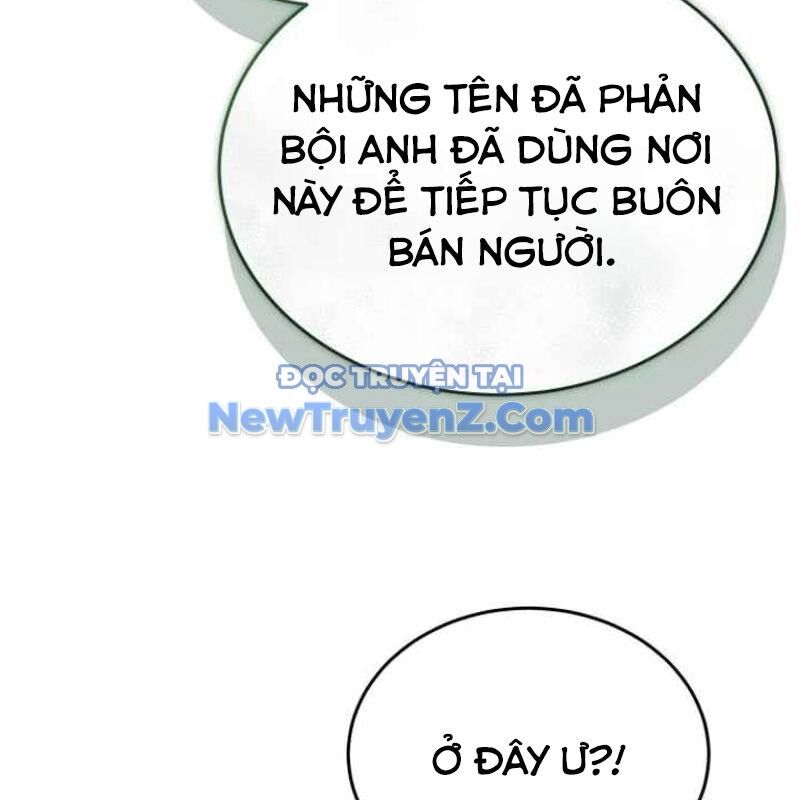 Kim Chiến Sĩ: Hành Trình Xây Dựng Đặc Tính