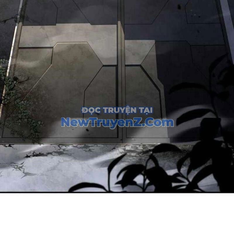 Kim Chiến Sĩ: Hành Trình Xây Dựng Đặc Tính