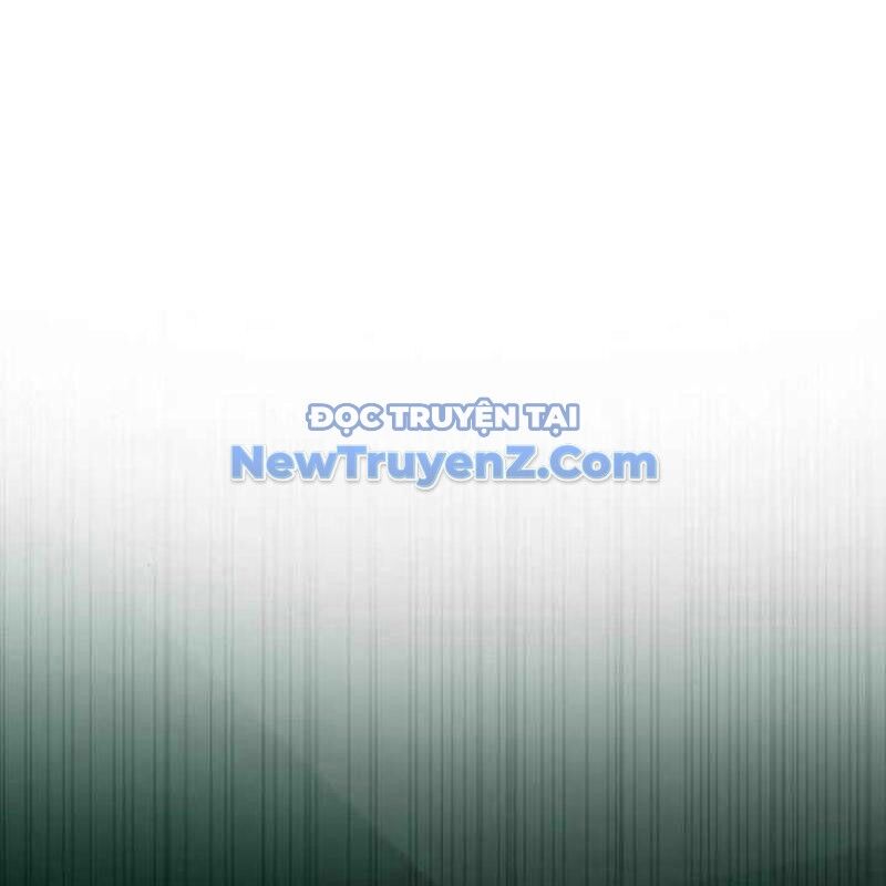 Kim Chiến Sĩ: Hành Trình Xây Dựng Đặc Tính