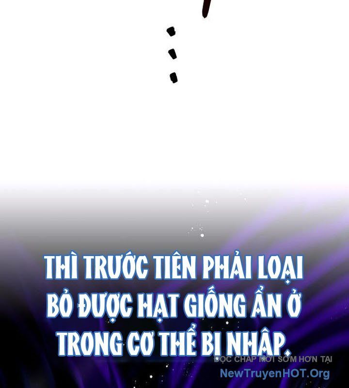 Kim Chiến Sĩ: Hành Trình Xây Dựng Đặc Tính