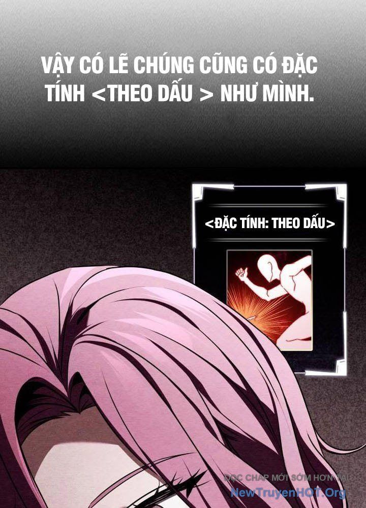 Kim Chiến Sĩ: Hành Trình Xây Dựng Đặc Tính