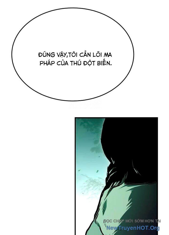 Kim Chiến Sĩ: Hành Trình Xây Dựng Đặc Tính