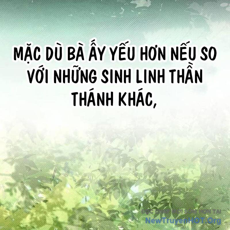 Kim Chiến Sĩ: Hành Trình Xây Dựng Đặc Tính