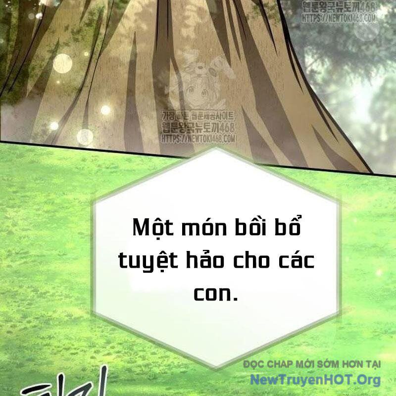 Kim Chiến Sĩ: Hành Trình Xây Dựng Đặc Tính