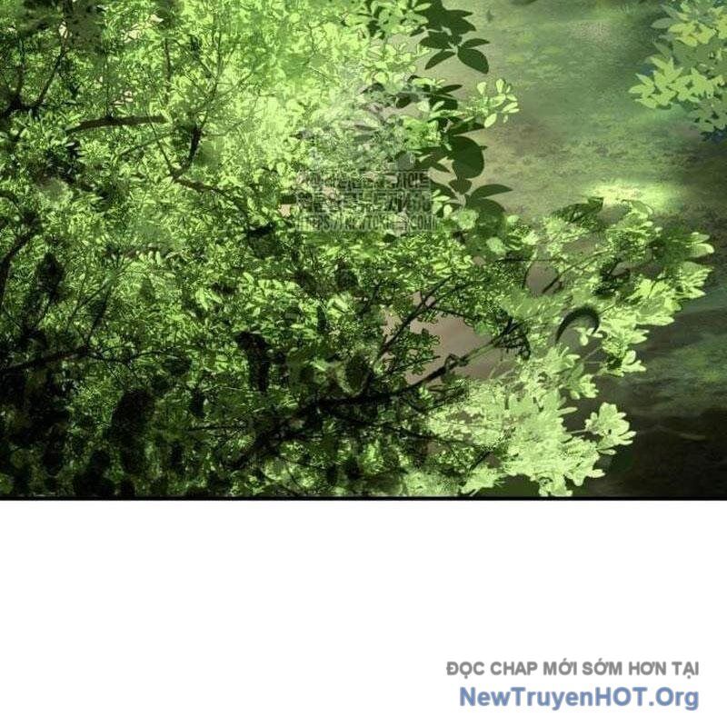 Kim Chiến Sĩ: Hành Trình Xây Dựng Đặc Tính