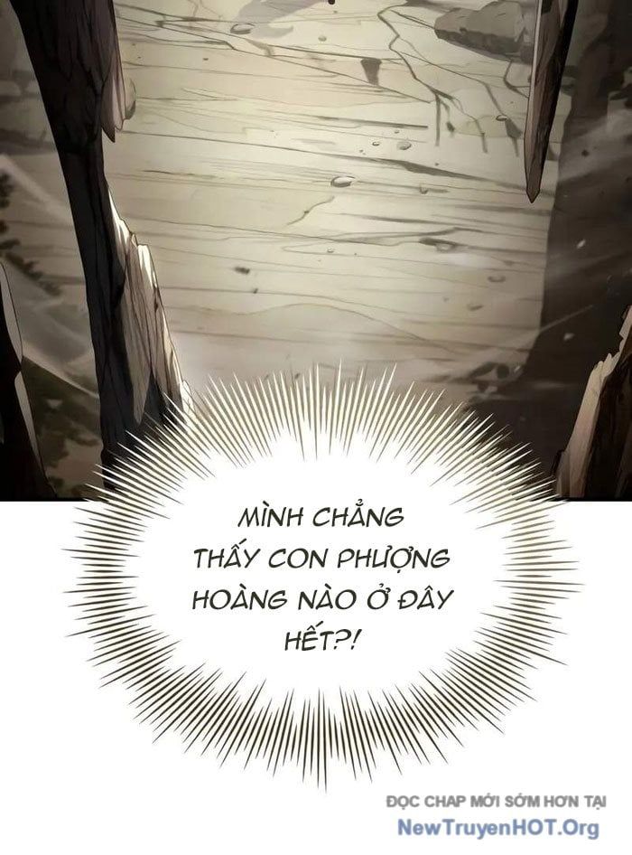 Kim Chiến Sĩ: Hành Trình Xây Dựng Đặc Tính