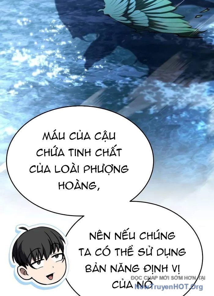 Kim Chiến Sĩ: Hành Trình Xây Dựng Đặc Tính