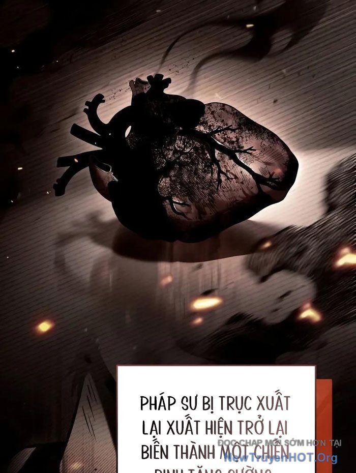 Kim Chiến Sĩ: Hành Trình Xây Dựng Đặc Tính