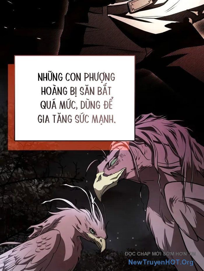 Kim Chiến Sĩ: Hành Trình Xây Dựng Đặc Tính