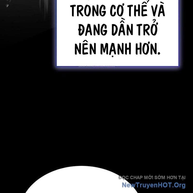 Kim Chiến Sĩ: Hành Trình Xây Dựng Đặc Tính