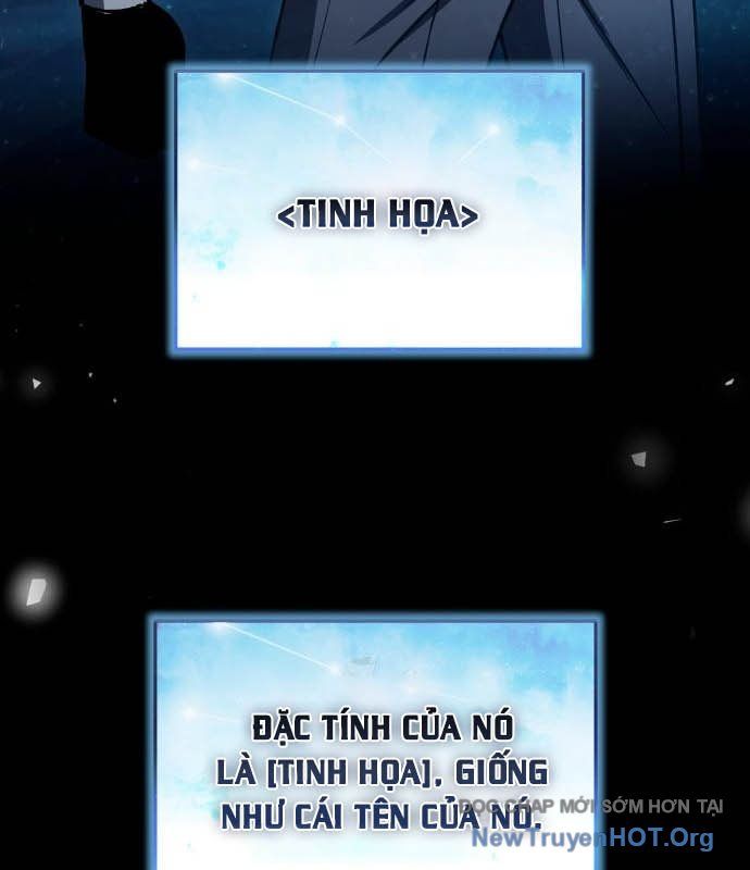 Kim Chiến Sĩ: Hành Trình Xây Dựng Đặc Tính
