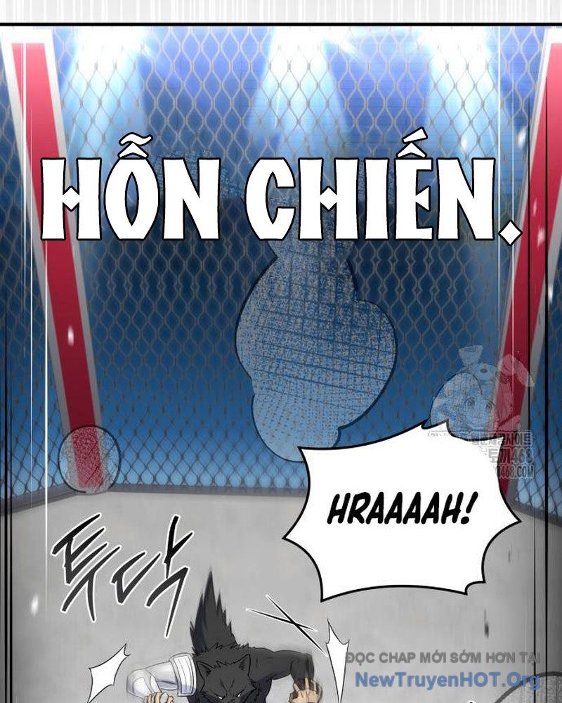 Kim Chiến Sĩ: Hành Trình Xây Dựng Đặc Tính