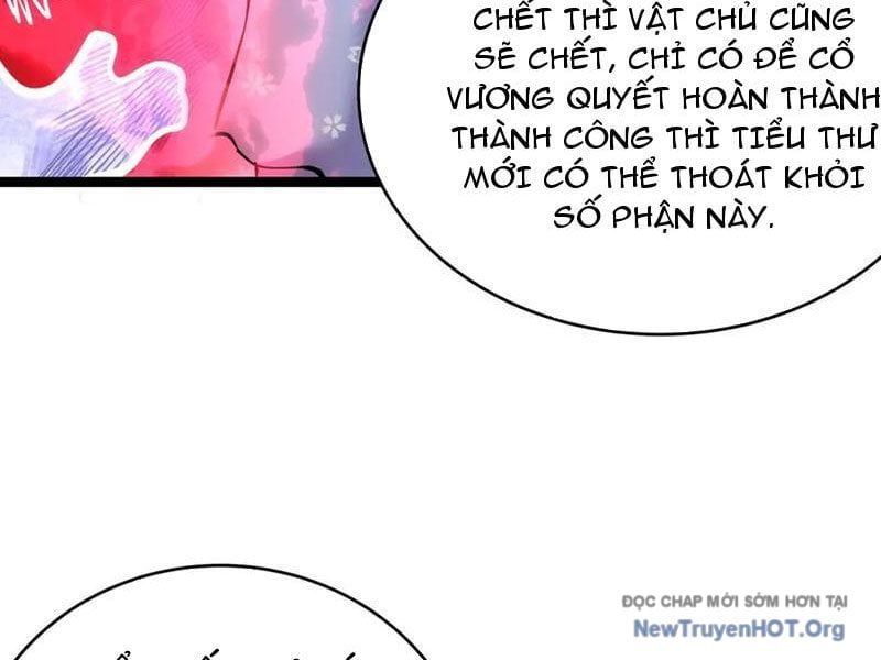 Ta Đoạt Xá Người Chơi Hệ Thống